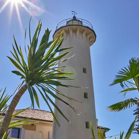 Sunny And Bright Beautiful Daire *